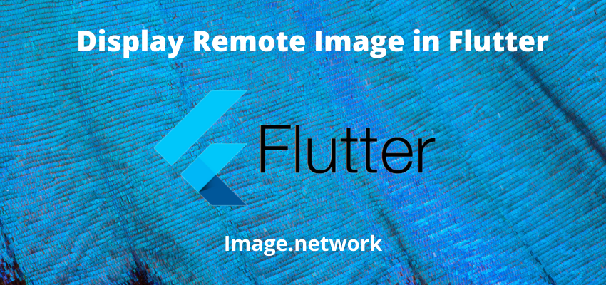Display Remote Image in Flutter