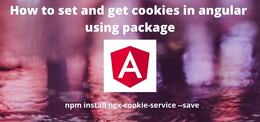 How to set and get cookies in angular using package