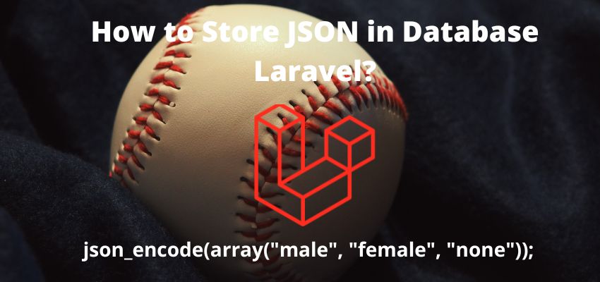 How to Json Array in Database Laravel