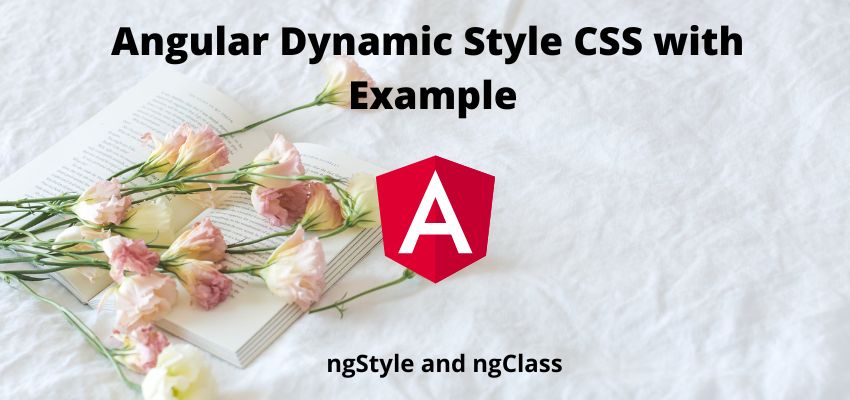 Angular Dynamic Style CSS with Example